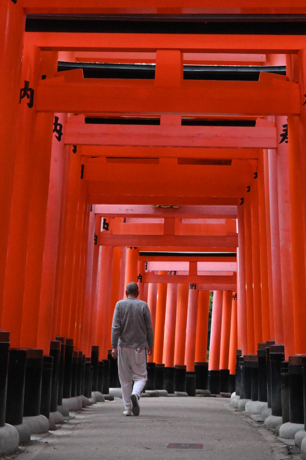 Tunnel de torii vermillon
