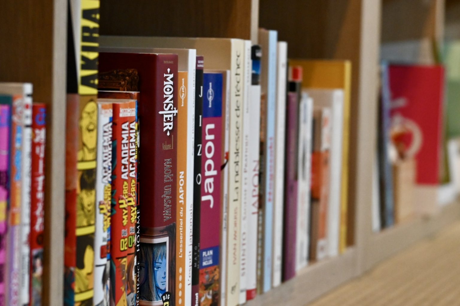 Bibliothèque de mangas